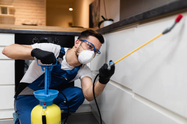 Best Termite Control Services  in Pepperdine University, CA