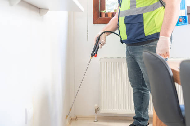 Flea Control Services in Pepperdine University, CA