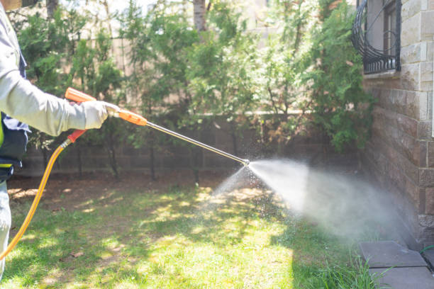 Best Rat Extermination Near Me  in Pepperdine University, CA