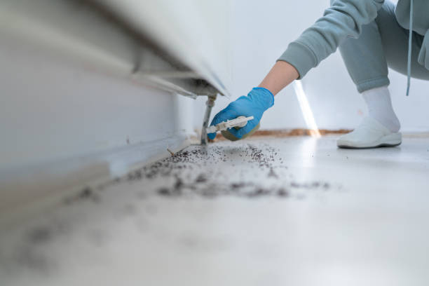 Pest Control for Restaurants in Pepperdine University, CA